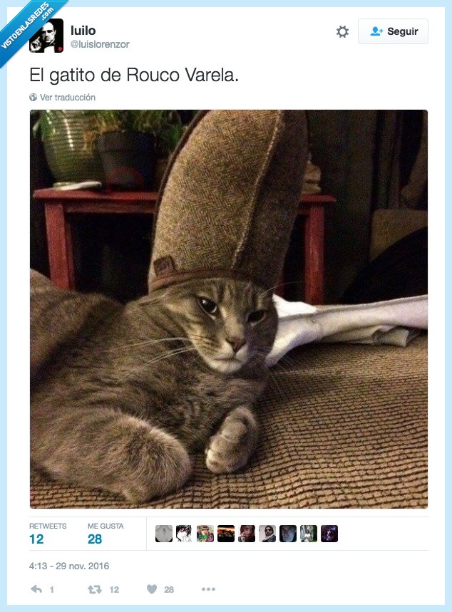 gato,perdonar,pecados