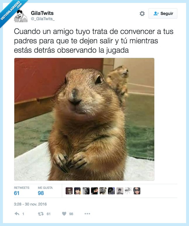 especies,madre,convencer salir