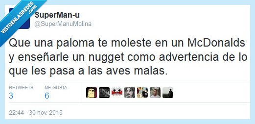 paloma,mcdonalds,nuggets,ave