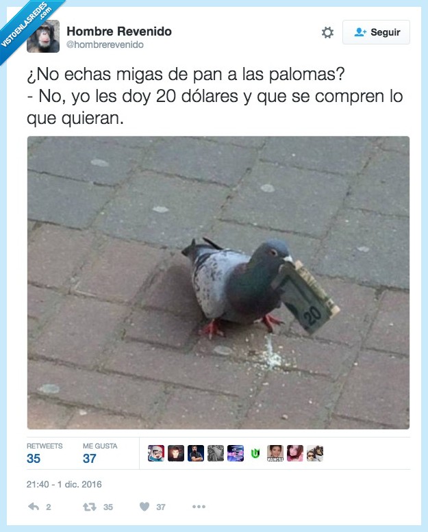 paloma,dinero,comprar