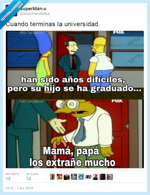 los simpsons,se&ntilde;or topo,unviersidad,padres
