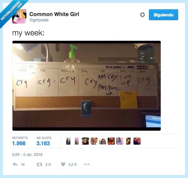 amigos,puente,estudiar