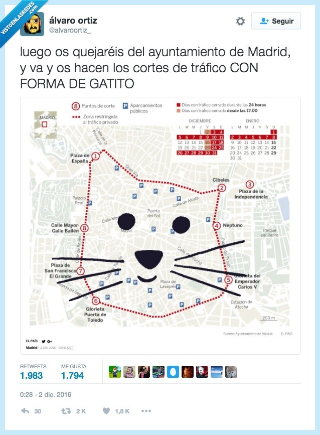 gato,cortar tráfico,forma