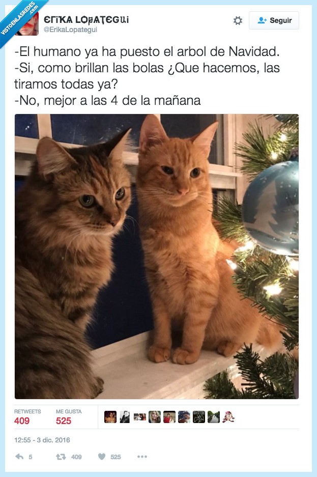 gatos,bolas,navidad
