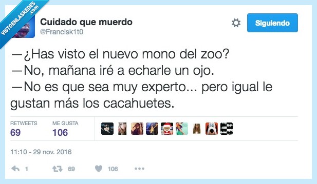 cacahuete,plátano,ojo,mono