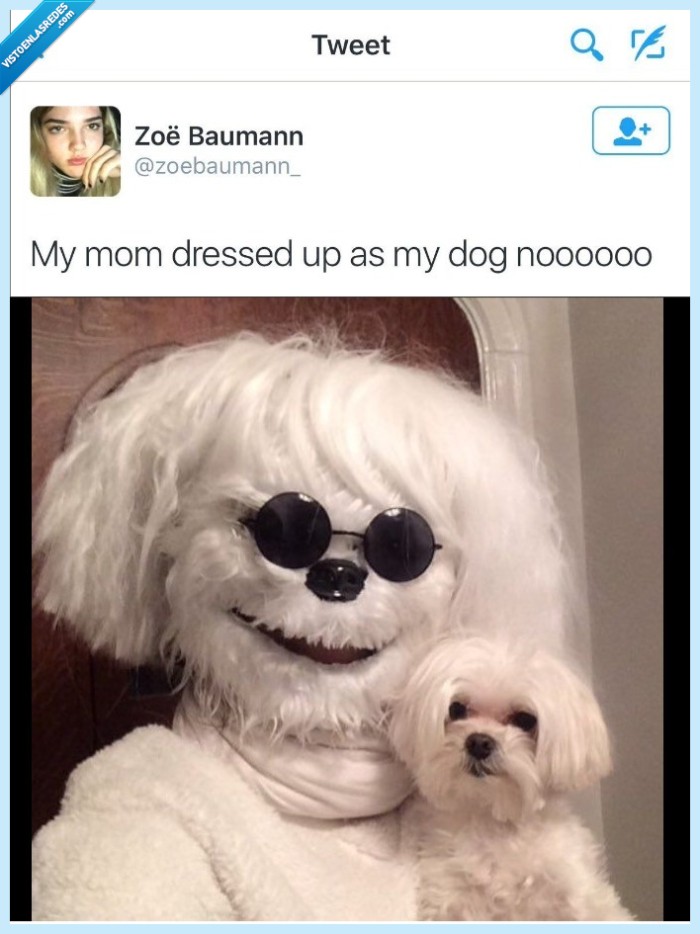perro,madre,disfraz,demasiado