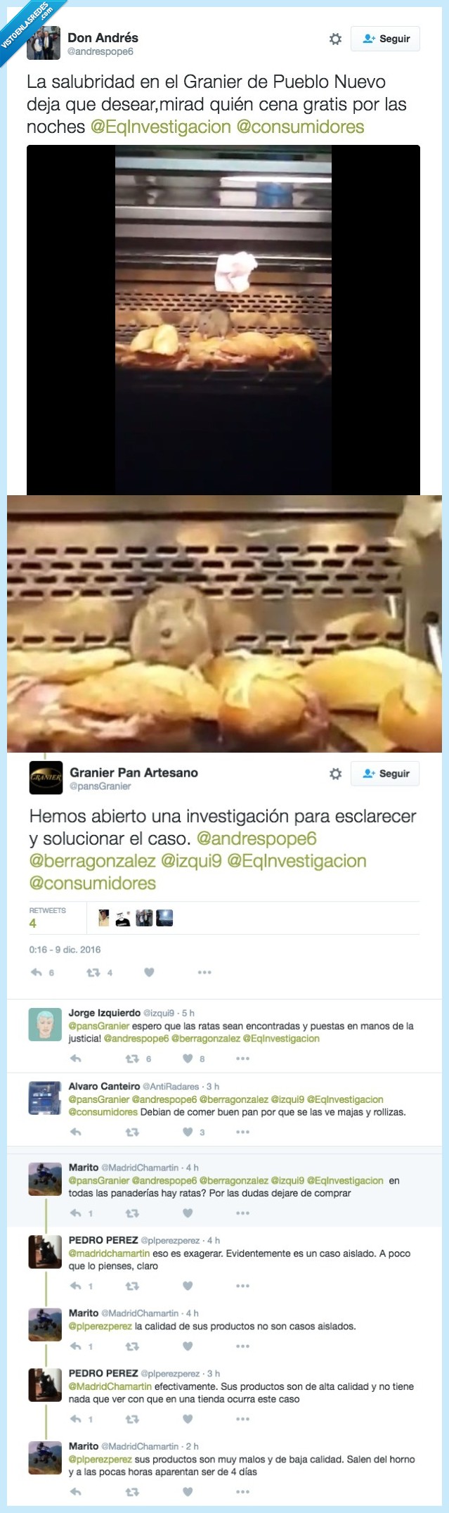 ratas,panadería,asqueroso