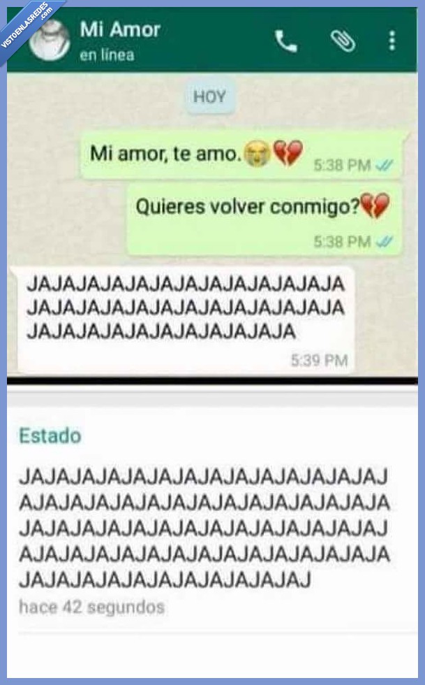 whatsapp,conversación,respuesta,risas,estado,humillación