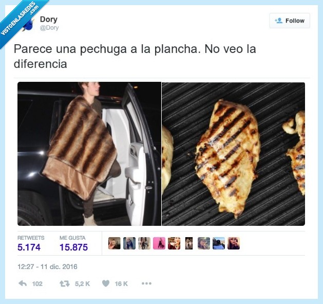 pechuga,abrigo,plancha,moda