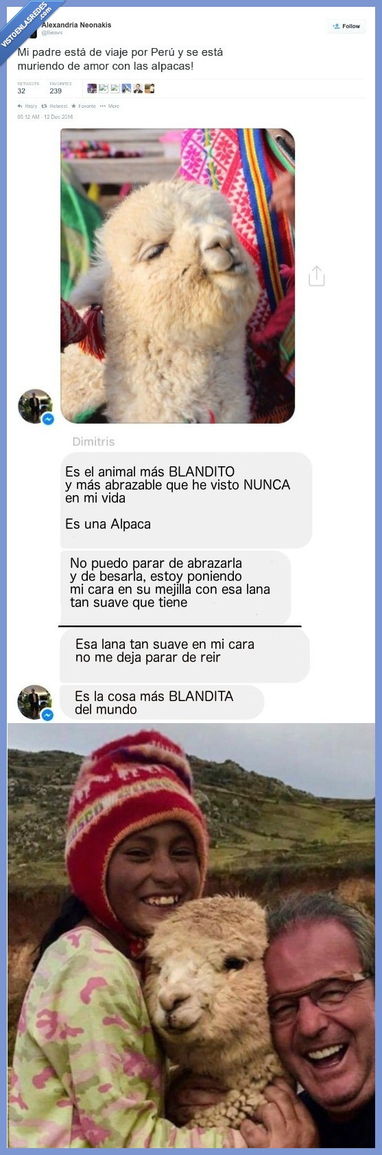 Perú,padre,alpaca,blandita,suave