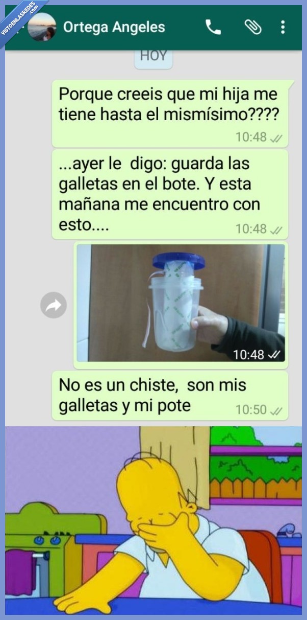 madre,ejecutar,ordenar,mandar,galletas