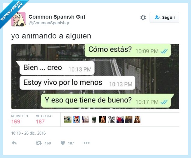 whatsapp,conversaación,bueno,vivo