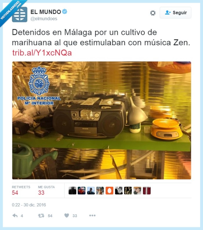 crecimiento,planta,zen,música