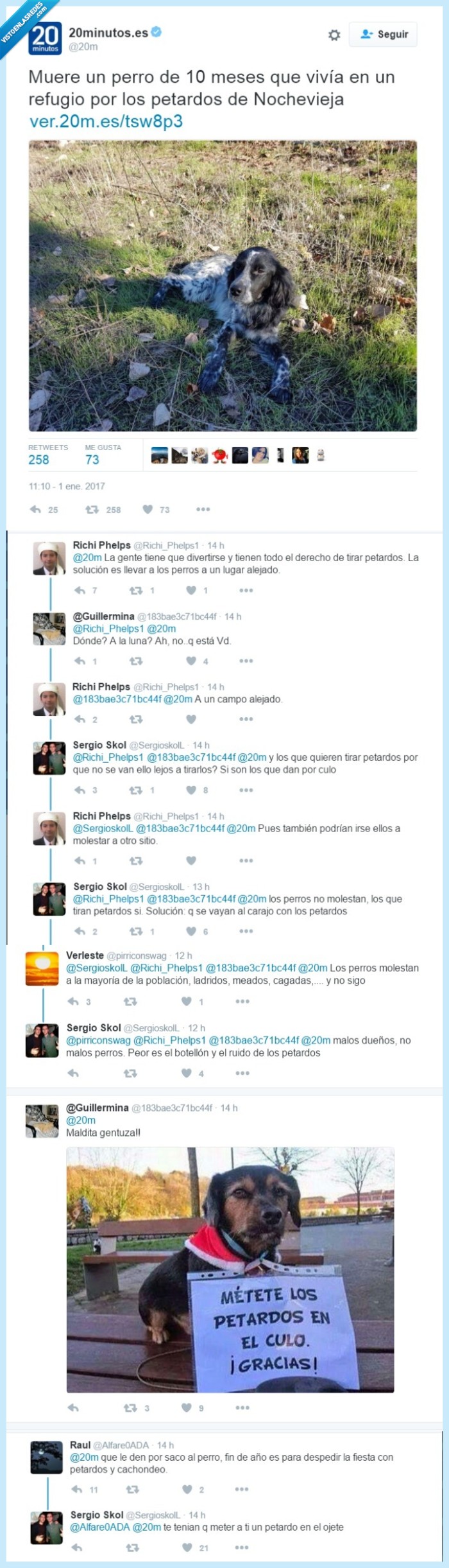 vergüenza,muerte,perro