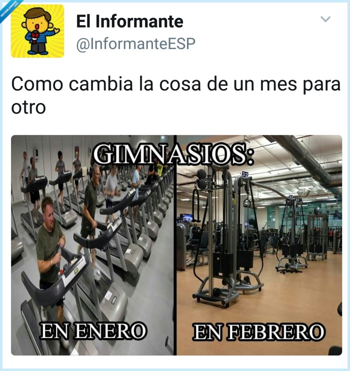 enero,febrero,gimnasio,realidad