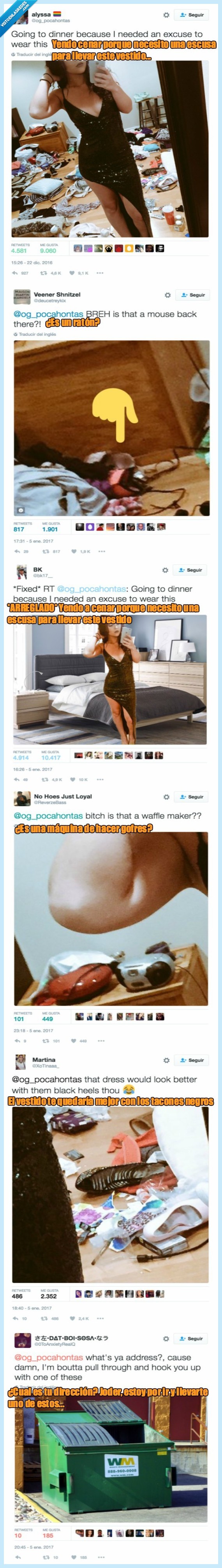 percatar,foto,cerda,ratón