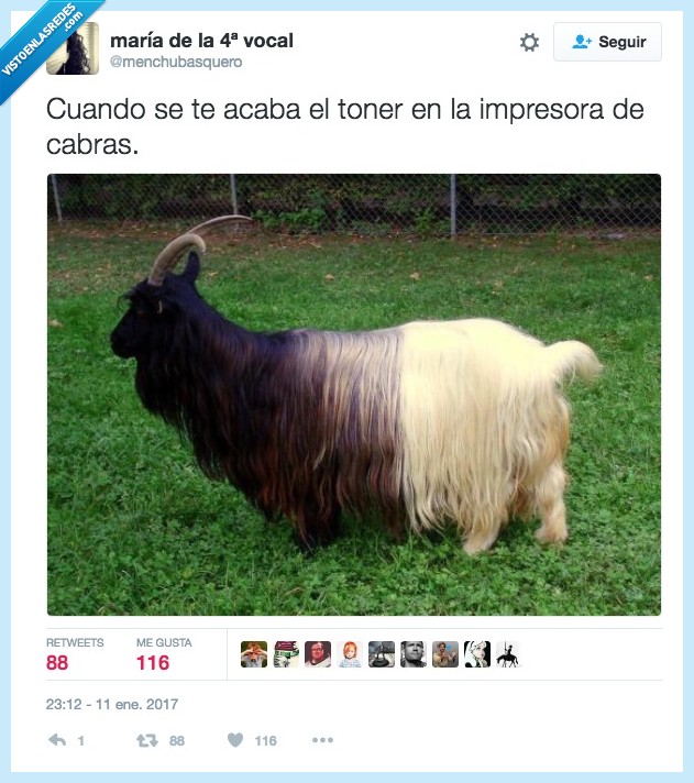 cabra,imprimir,toner