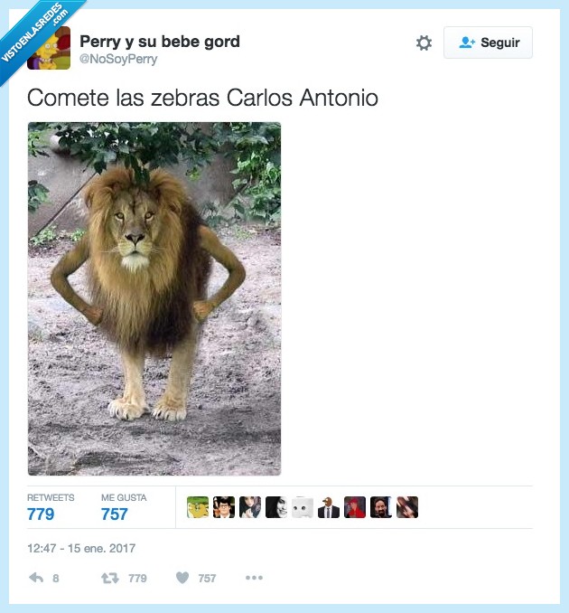 león,sabana,hora de cenar