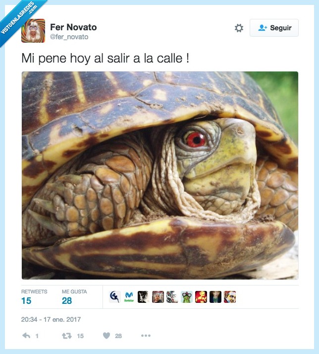 frío,ola,consecuencias