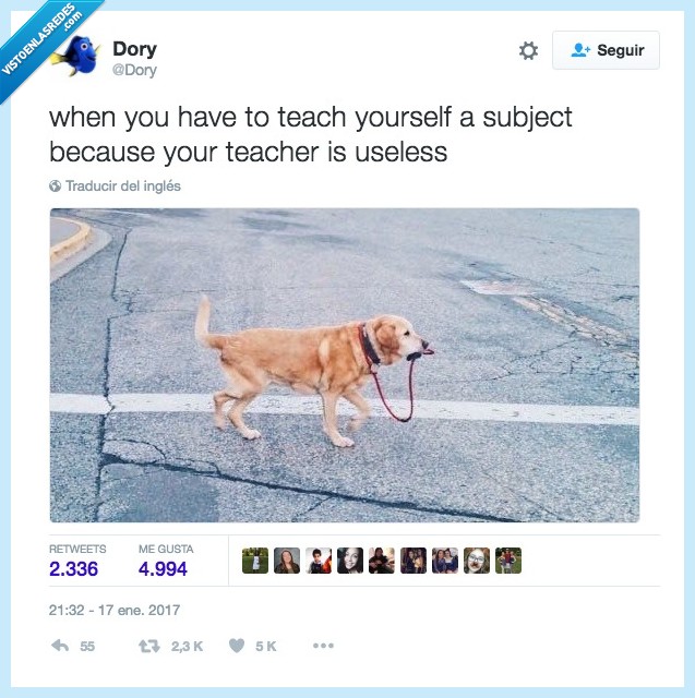 perro,profesor,enseñar,asignatura