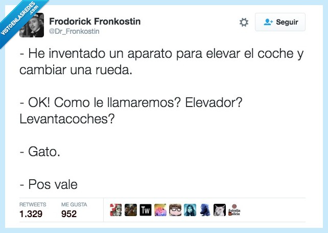 gato,elevar,coche,sin sentido