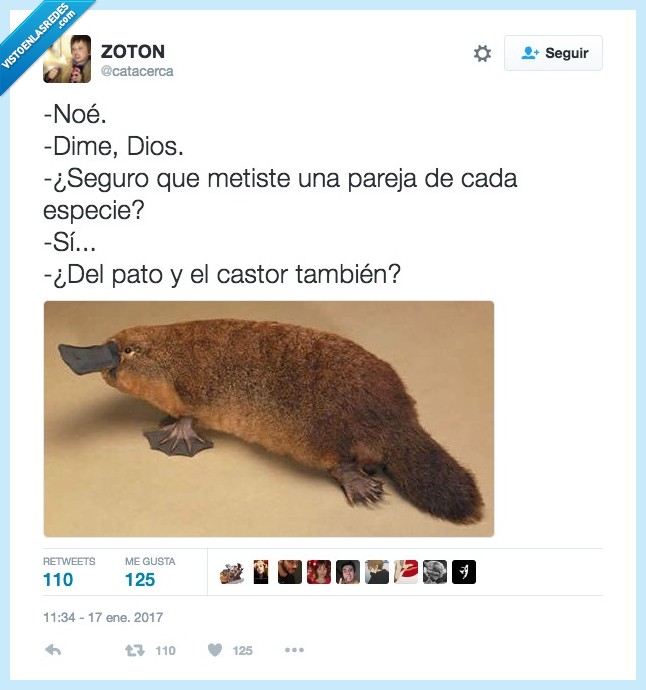 ornitorrinco,Dios,noé