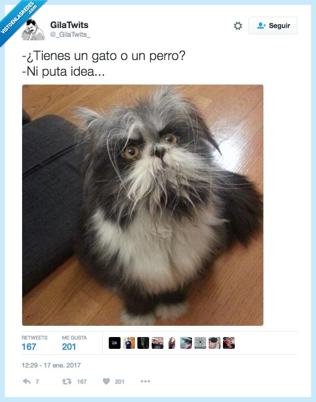 gato,perro,ADN,comprobar