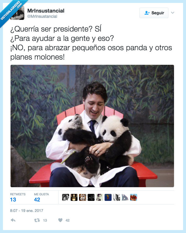 panda,presidente,abrazar,canadá