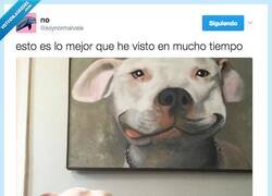 Enlace a BEST SELFIE EVER por @soynormalvale