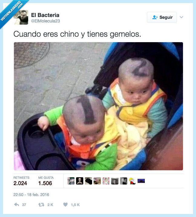 gemelos,chinos,quien es quien