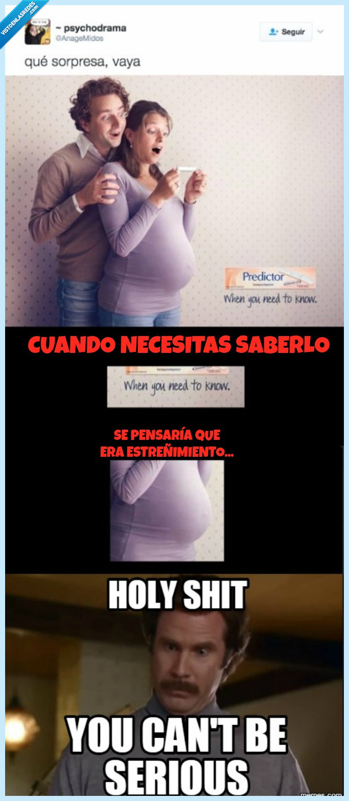 embarazo,publicista,mendrugo