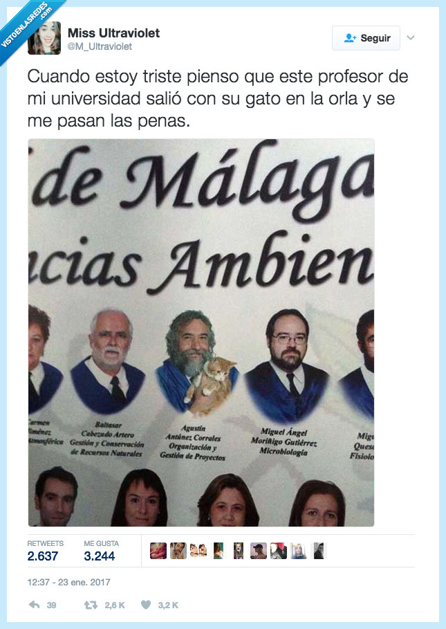 gato,profesor,orla,salir