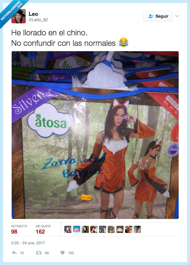 zorro,bosque,disfraz,chino