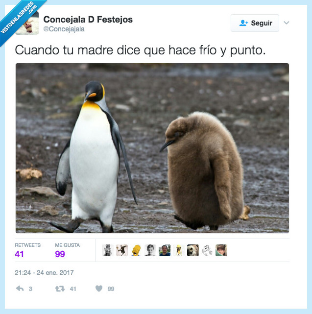 pingüino,rebeca,frío,madre