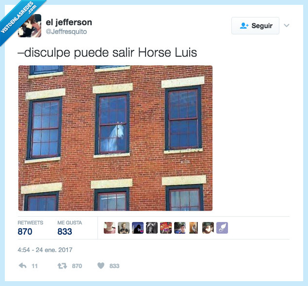 caballo,horse,luis,salir,calle