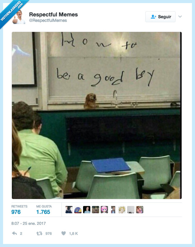 perro,profesor,pizarra