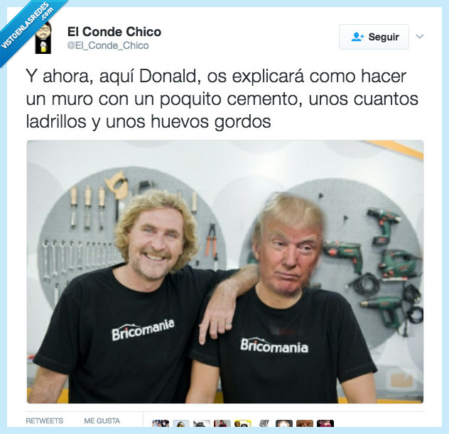 trump,muro,bricomanía