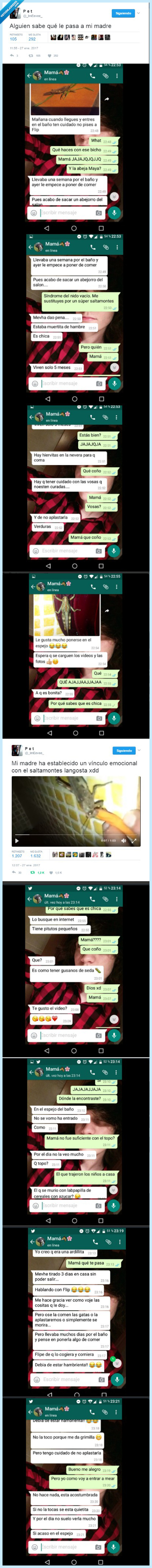 madre,saltamontes,adoptar