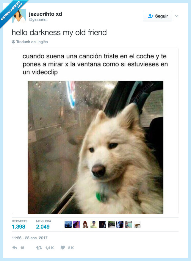 videoclip,adele,perro,melancol&iacute;a
