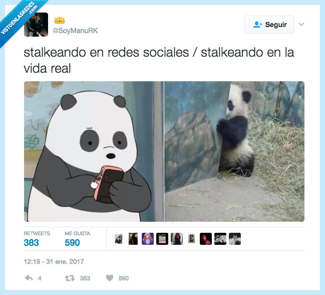 panda,oso,stalkear,vida real,redes