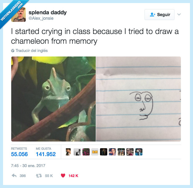 llorar,camaleón,poca imaginación,memoria