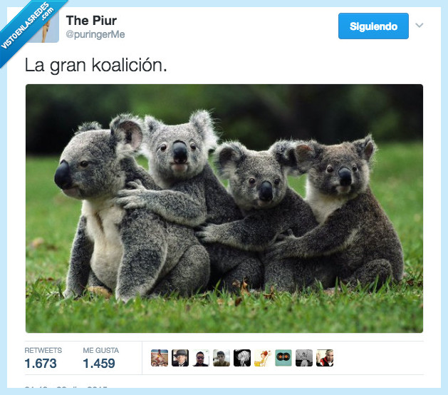 459989 - El gobierno más koaliado del mundo por @puringerMe