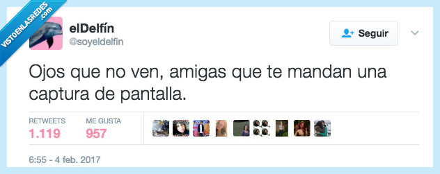 refrán,delfín,amigas,captura