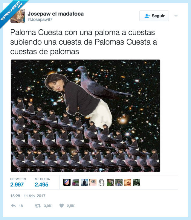 paloma cuesta,a cuestas de paloma,rallada