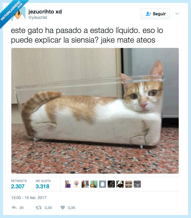 gato,agua,be water
