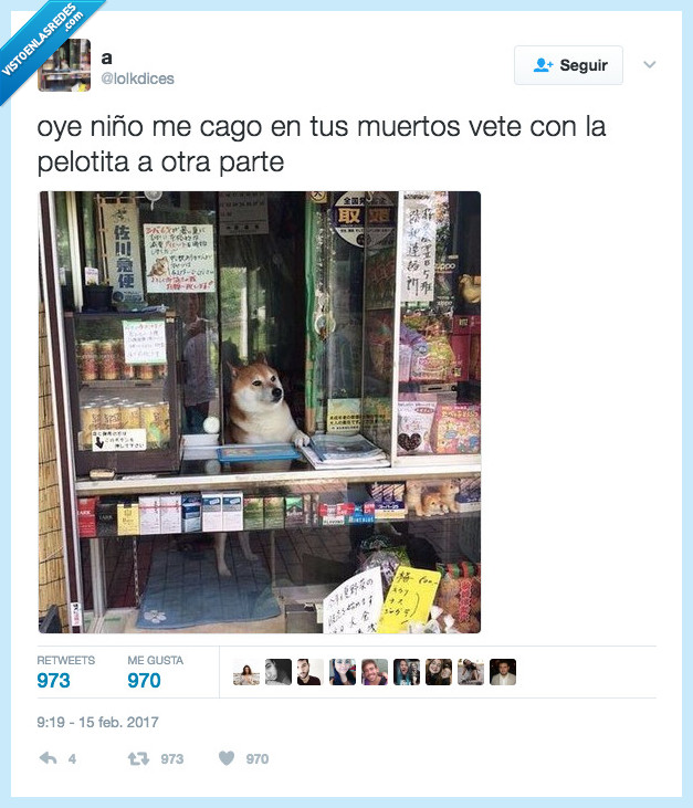 perro,niño,humor