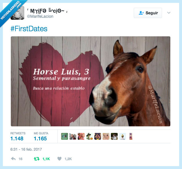 461070 - Horse Luis el caballo más famoso de First Dates por @MarifeLacio