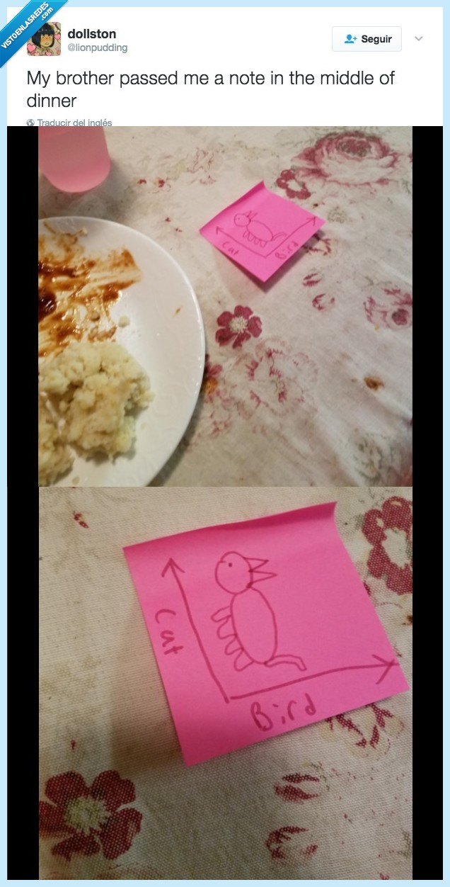 nota,cena,hermano,genio,tonto