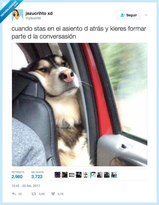 perro,asiento,conversacion
