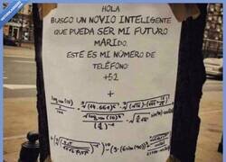 Enlace a Si tienes nombre cani no tienes derecho a ser listo ¿o qué?